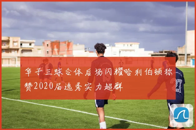 华子三球合体后场闪耀哈利伯顿称赞2020届选秀实力超群