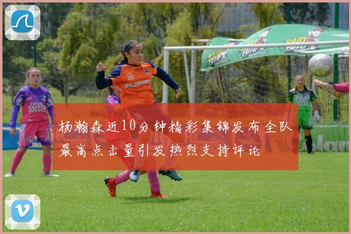 杨瀚森近10分钟精彩集锦发布全队最高点击量引发热烈支持评论